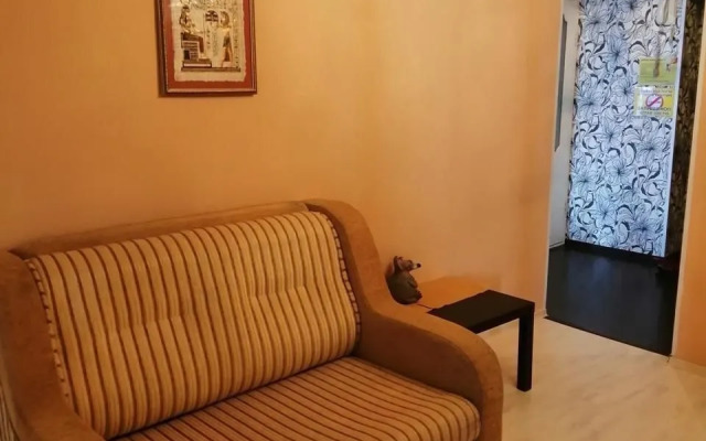 Апартаменты на улице Елизаровых 52