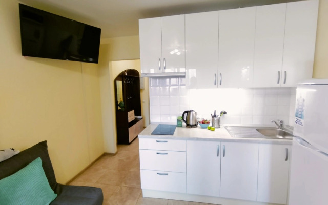 Апартаменты с Балконом Lesnaya