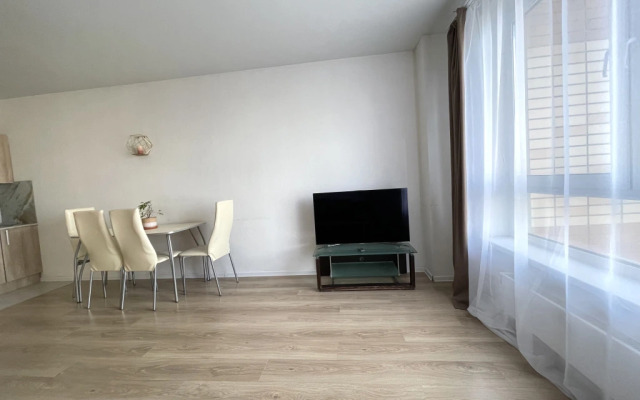 Viktory Apart 8 Apartment