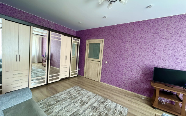 Квартира Большая 1ка около Глобуса