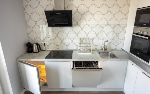 Apartamenty Skylight U Moskovskikh Vorot (2)