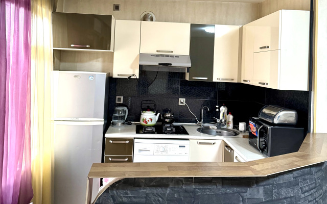 V Tsentre Baku Flat