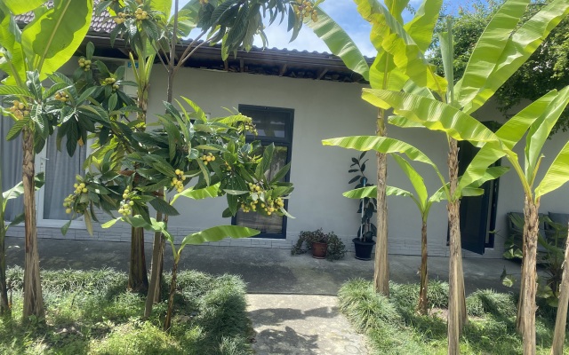 Buffalo Guest House