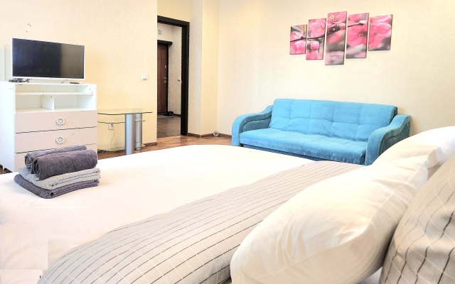 Stylish 1-bedroom apartments in Eastern microdistrict Flat