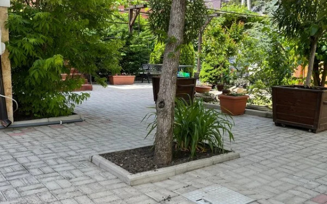 Yava Guest house