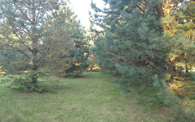 Частный дом Хитрый Лис