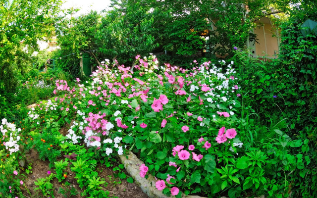 Гостевой дом Казантипс