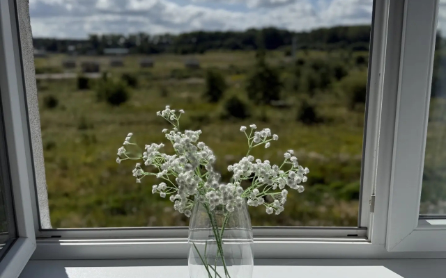 Квартира Прекрасный Пионерский