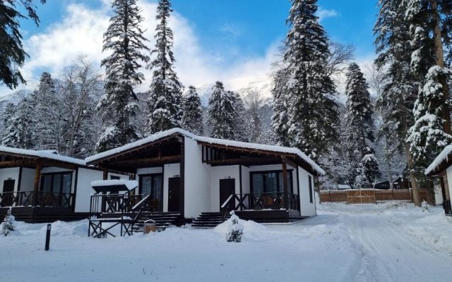 Dacha Apartments