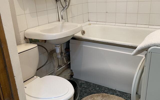 Квартира на троих в центре