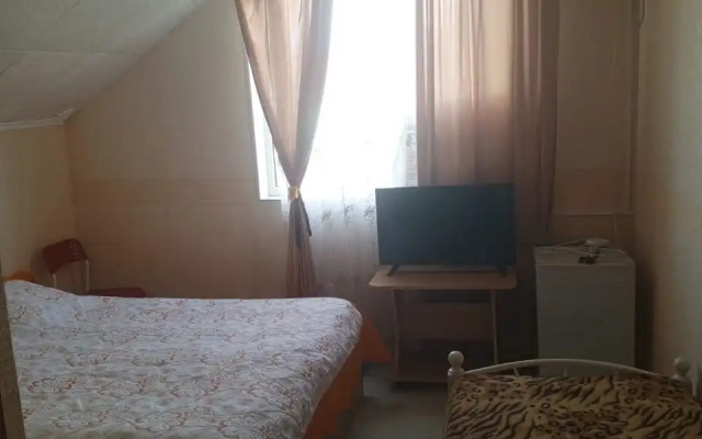 Na Tolstogo 13 Guest House