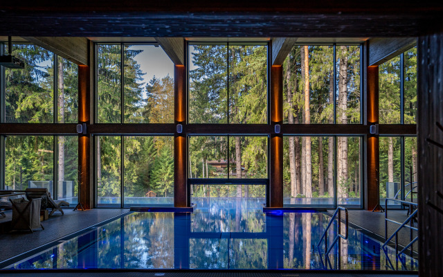 Okhta park Chalet