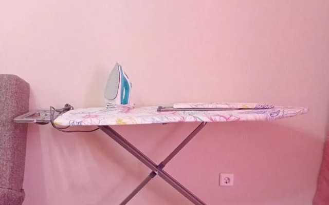 Studiya Na Lermontova 31 Flat