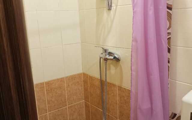 Мини-отель Золотое крыло Ленина 51