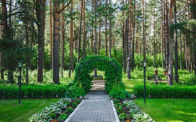 Отель Лесная сказка