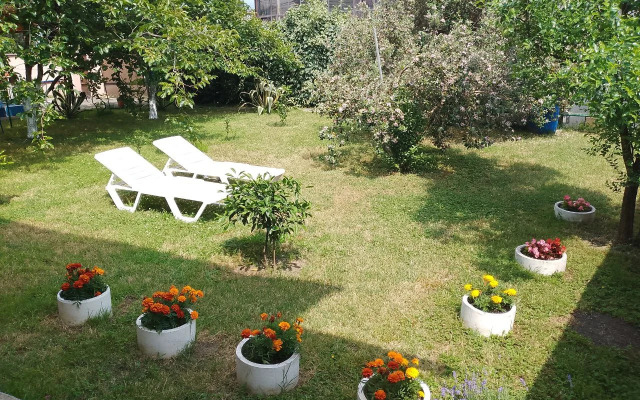 Artem Guest House