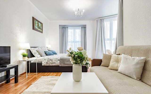 Semeynyye DoMino na Krasnoy Apartments