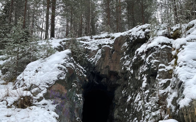 Частный дом Вилла в Карелии 1