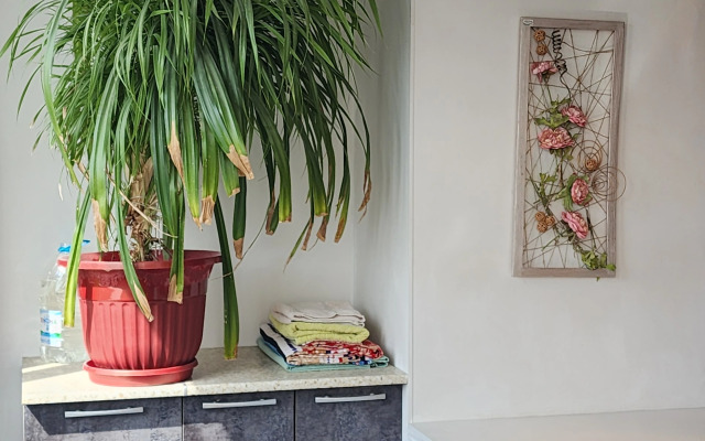 Апартаменты Уютная на Учебной 8