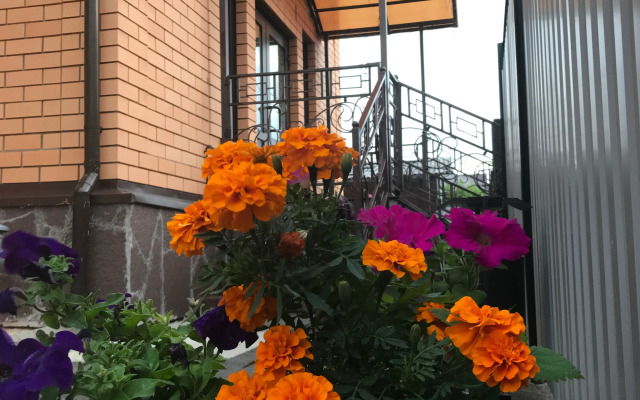 Avrora Guest house