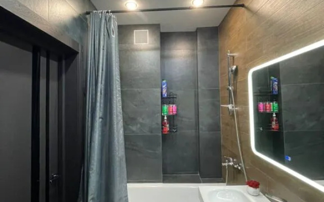 Апартаменты Студия Пентхаус Mix