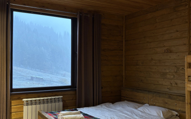 Resort Ski Park Pioneer