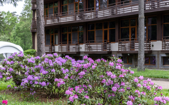 Azimut Park Hotel& SPA Repino