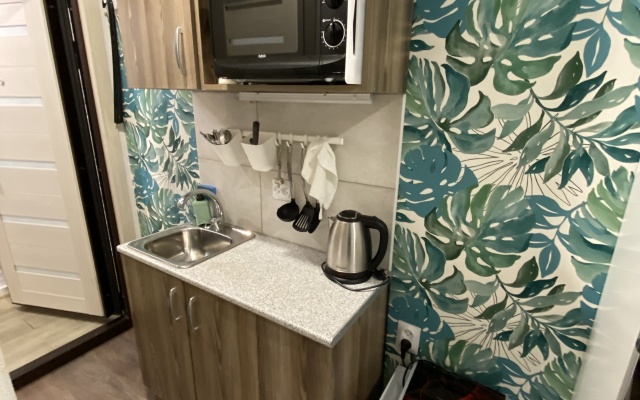 Апартаменты АпраксинХаус-9