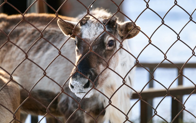 Отель Карым-Муны