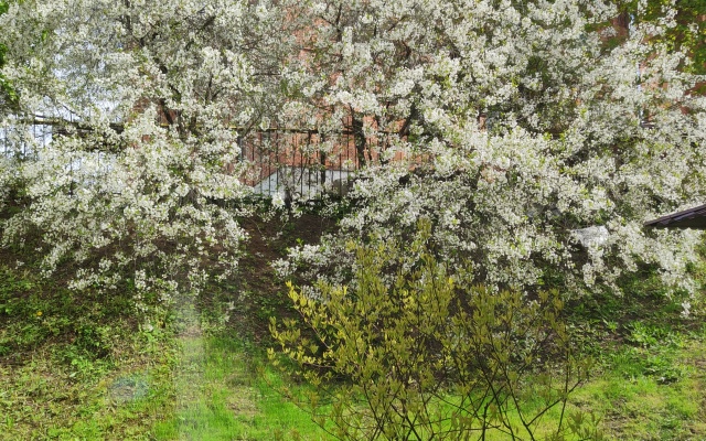 Апартаменты на Гражданской №5