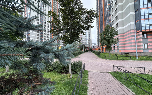 Квартира Апартаменты квартира дунайский с парком