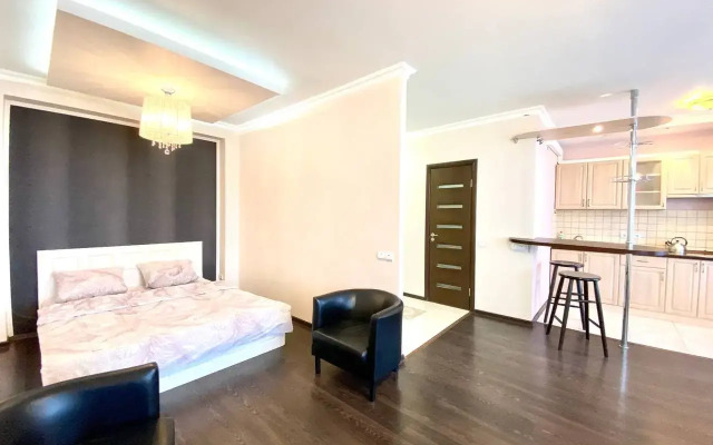 Bolshaya Studiya V Novostroe Apartments