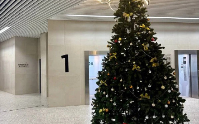 Апартаменты Уютная студия на ДОКе