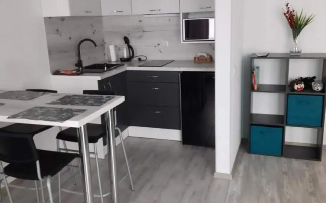 Baltiyskiy Veter Apartments