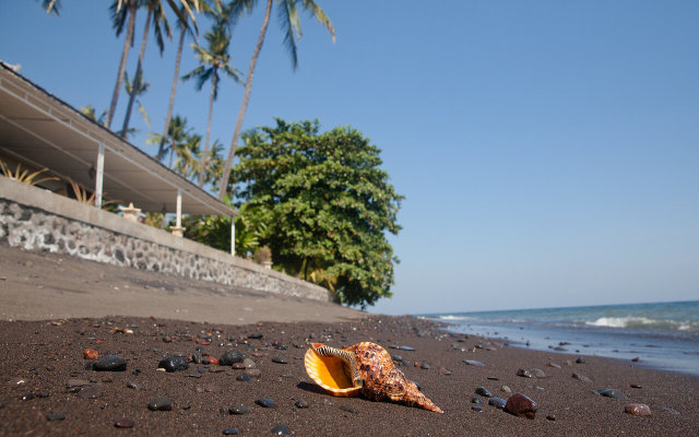 Bondalem Beach Club Hotel