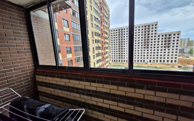 V Novom Pushkino Flat