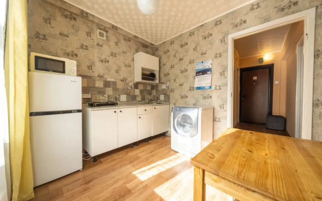 Odnokomnatnyye Passazhir 2 Apartments