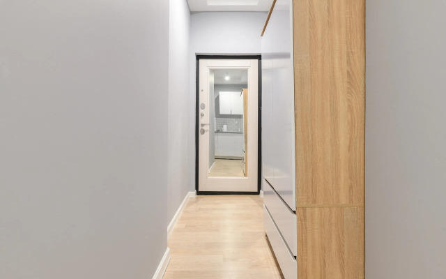 Апартаменты на Невском 106