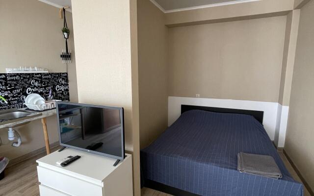 Cozy Izvestia Apartments