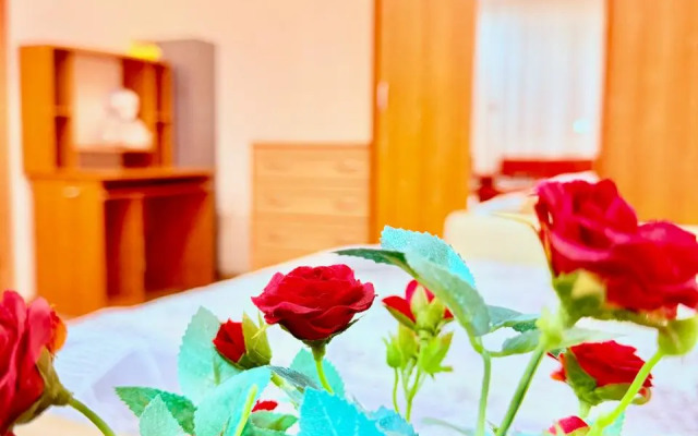 Квартира на Пионерской