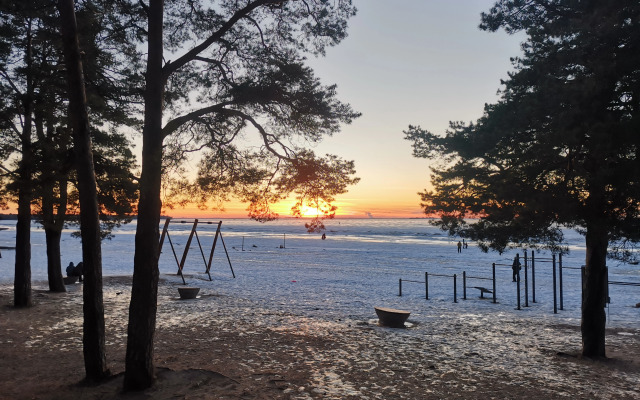 Квартира с камином в сосновом лесу