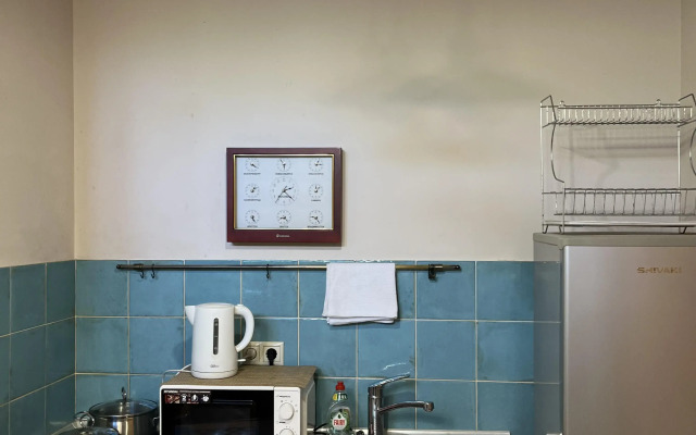 Pushkin Travel Apartments