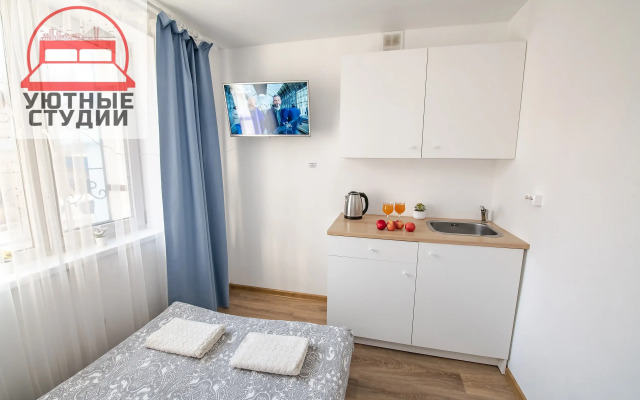 Квартира-студия 1 на Некрасовской