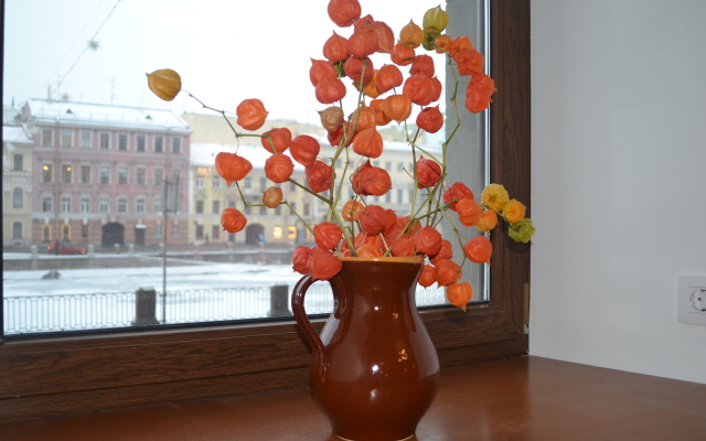 Квартира Видовая на Фонтанке