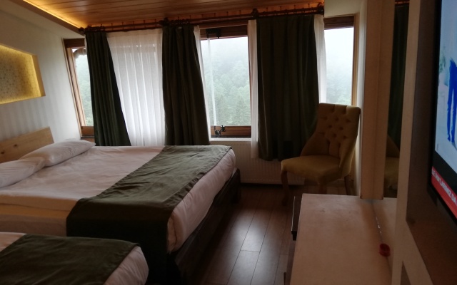 Отель Ayder Resort