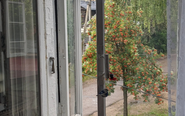 Квартира Двухкомнатная Купеческий Дом Конца XIX Века