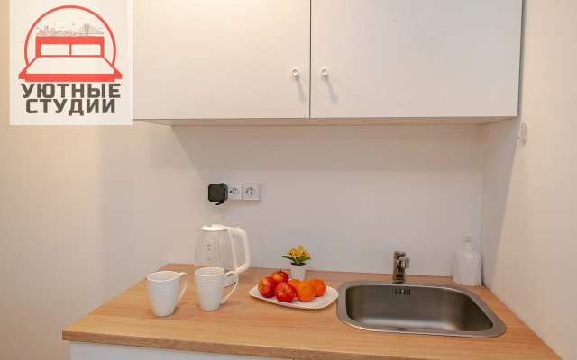 Квартира-студия на Некрасовской