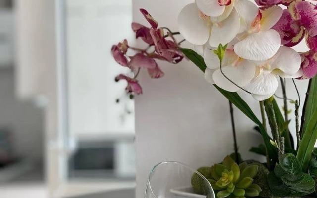 Studiya Na Primorskoy 37 Flat