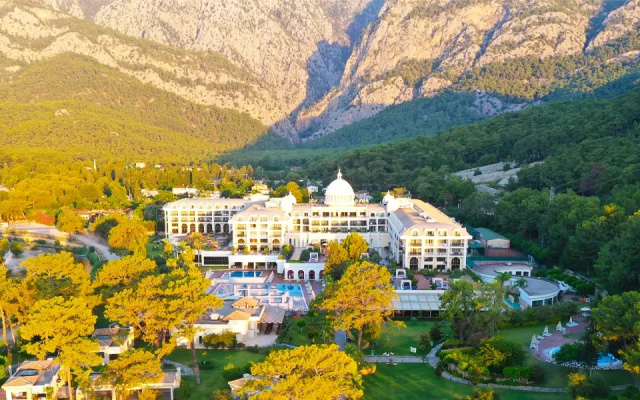 Juju Premier Palace 