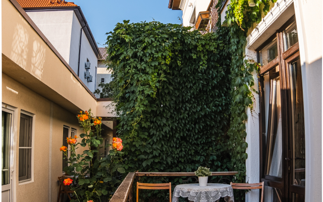 Гостевой дом Лиора